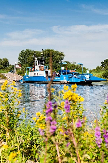 Die Schifffahrt gehört zur Elbe unweigerlich dazu. Fähren ermöglichen es an vielen Standorten, den großen Strom zu überqueren. - Foto: djd/Kurs Elbe/Markus Tiemann