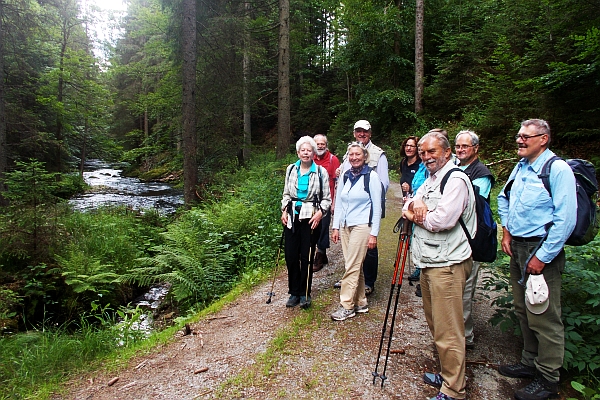 Den Wert eines freifliessenden Flusses sowie alter Bäume und das Tierfreigelände konnte man im Nationalpark Bayerischer Wald und am Regen entdecken - Foto: Meindorfer
