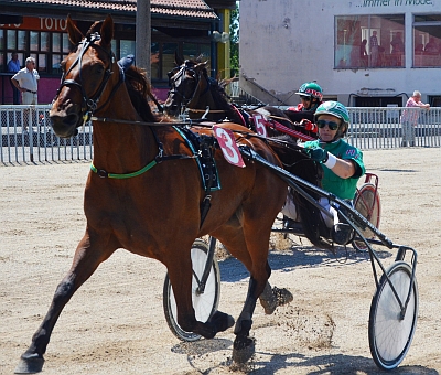 Renate Lindinger feiert mit Winston As ihren 100. Sieg als Amateurfahrerin.  -Foto: ZTVSR