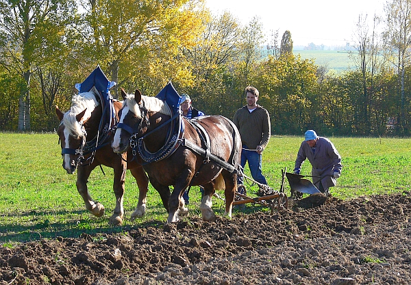 Fotos: Freilichtmuseum Massing