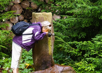 Das beste Getränk sei auch für Senioren Wasser, entweder Leitungs- oder Mineralwasser, je nach Geschmack oder Verträglichkeit mit oder ohne Kohlensäure. - Foto: R. Sturm/pixelio