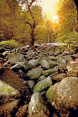 Malerisch: das Felsenmeer im Odenwald. - Foto: djd/AK Tourismus FrankfurtRheinMain