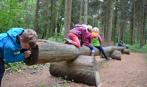 Die nächste Quelle ist meist nicht weit entfernt: Die eigentlich trockene Sennelandschaft ähnelt bisweilen einem Urwald. Foto: djd/Teutoburgerwald Tourismus/SHS