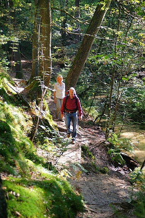 Auf ausgedehnten, gut ausgeschilderten Rundwegen können Wanderer die Reize der Naturlandschaft entdecken. 3641 KB Foto: djd/Teutoburgerwald Tourismus/SHS
