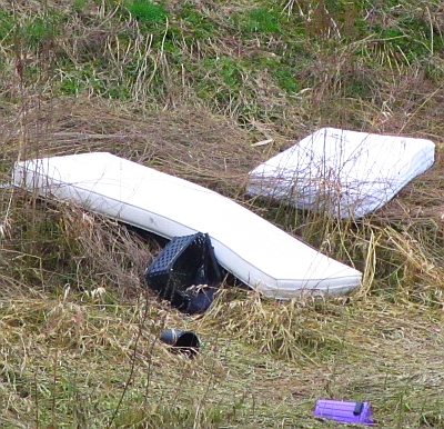 Wilde Müllablagerungen verschandeln nicht nur die Landschaft und gefährden die Umwelt. Die Entsorgung kostet auch zusätzlich Geld. - Foto: ZAW-SR