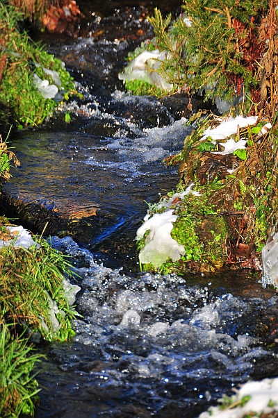 Wasserquellen und Bäche gibt es in Klingelbach mehrere. - Foto: Haas