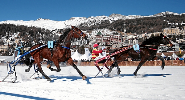 Trabrennen in Straubing