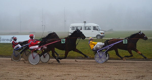 Beim letzten Aufeinandertreffen konnte Serafino (5) seinen schärfsten Widersacher Belmont (4) noch in die Schranken weisen. Am Samstag treffen sie wieder aufeinandern. (Foto: M. Bäumel-Schachtner)