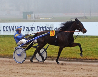 In drei PMU-Rennen in Folge war Marie Galante in den vergangenen sechs Wochen siegreich. Zum Abschluss des PMU-Wintermeetings in Straubing könnte der vierte Erfolg gelingen.