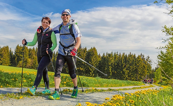 Mit allen Sinnen genießen: Auf dem FrankenwaldSteig erleben Wanderer die ganze Bandbreite der Natur – von rauschenden Wäldern über blühende Wiesen bis hin zu plätschernden Wildbächen. (Foto: epr/Naturpark Frankenwald & Markus Balkow)