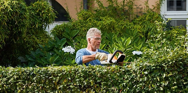 Gewusst wie: Eine vorher gespannte Schnur sorgt für eine gerade Linie beim Heckenschnitt.