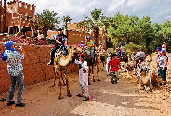 Der Kamelritt in die Wüste ist ein Muss in Marokko. Die ACSI-Campingreise in den Norden Afrikas macht es möglich. (Foto: epr/ACSI)