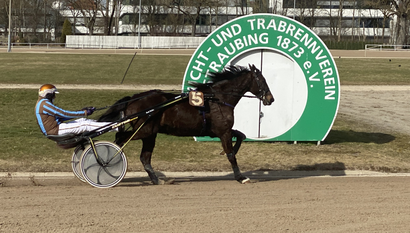 Straubinger Trabrennbahn Jackpotfieber Zum Start Der Jubil Umssaison