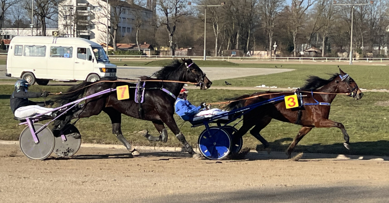 Sterreichische Fahrer Gewinnen Auf Straubinger Trabrennbahn Alle F Nf