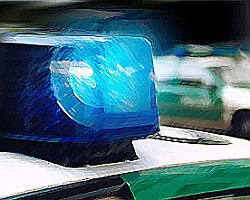 Polizei
