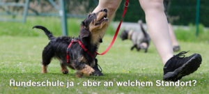 Hundeschule