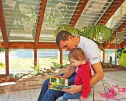 Großzügige Glasflächen liegen beim Eigenheim im Trend, wollen aber auch mit ihren Beschattungslösungen regelmäßig gepflegt werden.