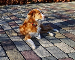 Schlechtem Wetter gelassen entgegensehen: Gelangt das Regenwasser über die Fugen oder direkt durch den Stein in die Tiefe, werden Kanalisation und Geldbeutel entlastet.