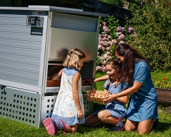 Mit dem neuen Hühnerstall gestaltet sich nicht nur die Reinigung, sondern auch die Entnahme der Eier äußerst bequem.