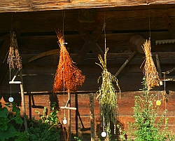 Kräuter, Freilichtmuseum Massing