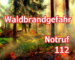 Feuer Waldbrandgefahr