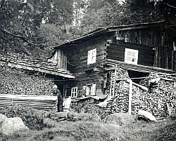 Freilichtmuseum Finsterau