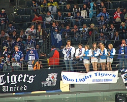 Tigerfans / flickr