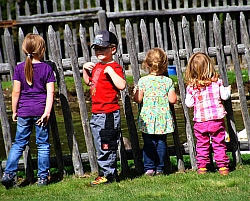 Foto: Freilichtmuseum Finsterau