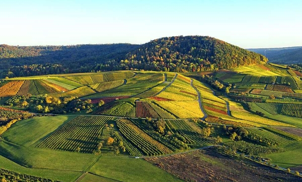 Wer die Ferienregion Hohenlohe im Nordosten Baden-Württembergs auf eigene Faust erkunden möchte, bekommt mit dem neuen weintouristischen Reiseführer eine gute Planungshilfe an die Hand. 