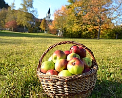 In der Genusswoche kommt viel Frisches und Heimisches auf den Tisch – natürlich auch Äpfel von den Kurpark-Streuobstwiesen in vielen Variationen