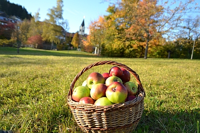 In der Genusswoche kommt viel Frisches und Heimisches auf den Tisch – natürlich auch Äpfel von den Kurpark-Streuobstwiesen in vielen Variationen