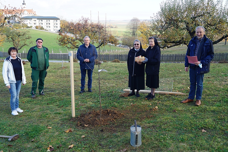 Zum 13. Mal gibt es den Apfel des Jahres im Landkreis