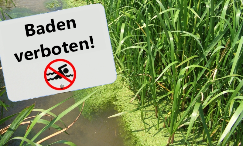Badeverbot