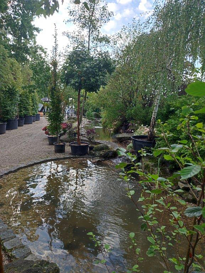 Bezirksfischereiverein Straubing