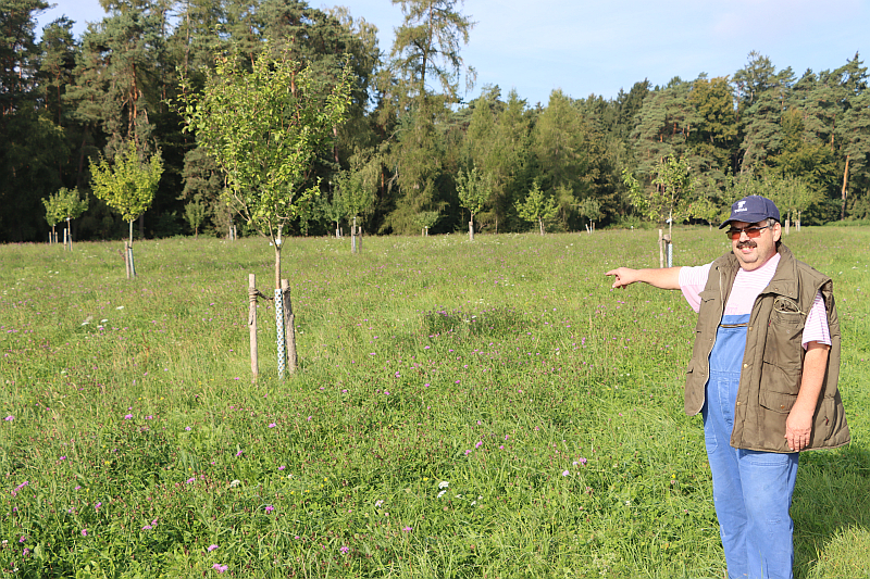 Landwirt Anton Huber auf seiner Streuobstwiese