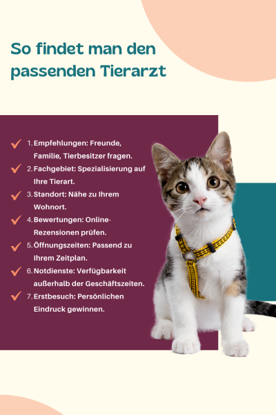 So findet man den passenden Tierarzt