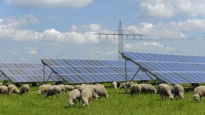 Bayernwerk AG: „Bayern bleibt Photovoltaik-Land“