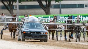 Walter-Mommert-Pferde stellen sich auf Rennbahn in Straubing vor