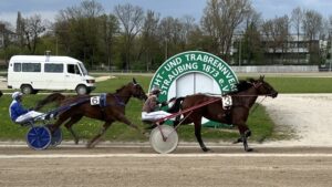 Rennbahn Straubing: Ein neuer Stern am Traberhimmel