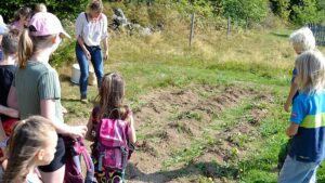 Weben, Wald und Seife: Ferienabenteuer in Finsterau
