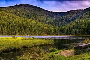 Spätsommer im Bayerischen Wald: Ausflugsziele vor der Haustür