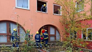 Große Rettungsübung: 18 Suchhunde im Einsatz in Sankt Englmar
